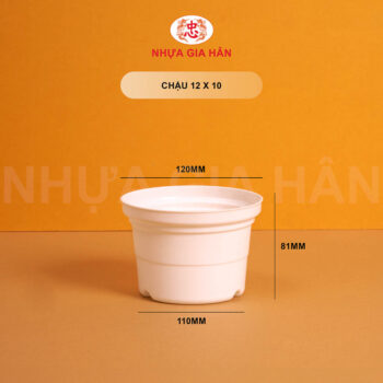 CHẬU NHỰA 12x10 - Ảnh 7